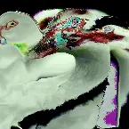 Pochette Behind of Digital Images