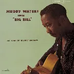 Pochette Muddy Waters Sings Big Bill Broonzy / Folk Singer
