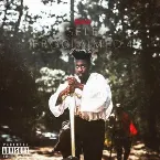 Pochette SELF PROCLAIMED 4