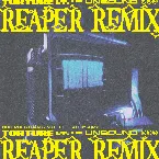 Pochette Torture (REAPER remix)