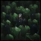 Pochette Thick of It (remix)