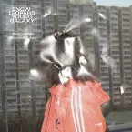 Pochette Snow Leopard