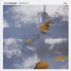 Pochette Skywards
