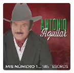 Pochette Mis Número 1... Mis Tesoros