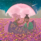 Pochette Midnight River