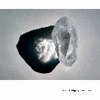 Pochette Lucid Ambiguity