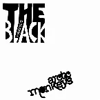 Pochette 2006-02-20: Black Session #243: Paris, France