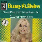 Pochette Ich weiß, daß ich kein Engel bin / Mister Bumblebee