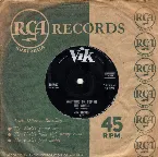 Pochette Waltzing on Top of the World / I Never Pass There Anymore