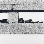 Pochette Moon Light Reflecting Over Mountains