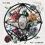 Pochette Turn the Light On