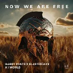 Pochette Now We Are Free