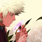 Pochette 銀色の髪のアギト オリジナルサウンドトラック