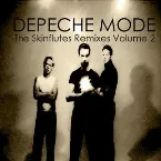 Pochette The Skinflutes Remixes Volume 2