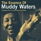 Pochette The Essence of Muddy Waters