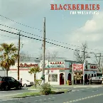 Pochette The Texas Tapes