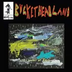 Pochette The Wonders Of Rain