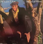 Pochette Silver 'N Wood