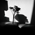 Pochette 愚人節快樂