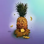Pochette Pine & Ginger [Seeb Remix]