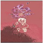 Pochette Don’t Wake Me Up