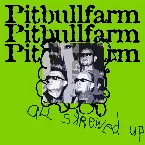 Pochette All Skrewed Up