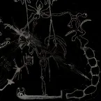 Pochette Sexual Desire Manipulate My Spiritual World