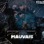 Pochette Mauvais