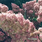 Pochette The Village