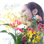 Pochette 光のありか