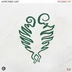 Pochette Stimming