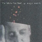 Pochette The Hole in Your Roof