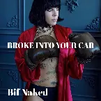 Pochette Broke Into Your Car