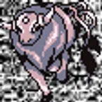 Pochette #128 ~ Tauros