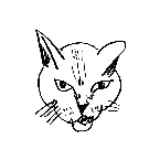 Pochette Aug 2025 Mix