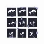 Pochette Non-Cellular Life