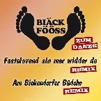 Pochette Remix zum danze