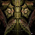 Pochette Fractal Tech