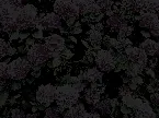 Pochette Petals of Torn Flesh