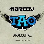 Pochette Analogital