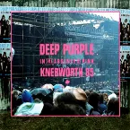 Pochette In the Absence of Pink: Knebworth 85