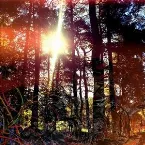 Pochette Cross Modulation - Bootleg Remixes