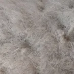 Pochette The Sea Wins