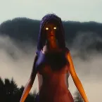 Pochette The Nemesis