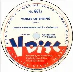 Pochette Voices of Spring / Hungarian Rhapsody no. 2
