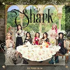 Pochette Shark