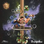 Pochette trampoline