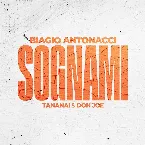 Pochette Sognami