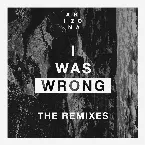 Pochette I Was Wrong