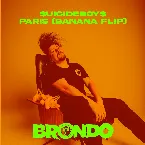 Pochette Paris (Banana Flip)